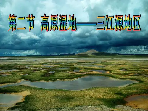 第九章第二节高原湿地——三江源地区
