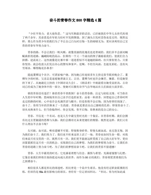 奋斗的青春作文800字精选4篇
