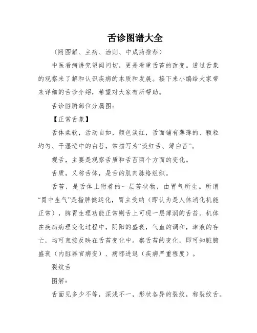 舌诊图谱大全