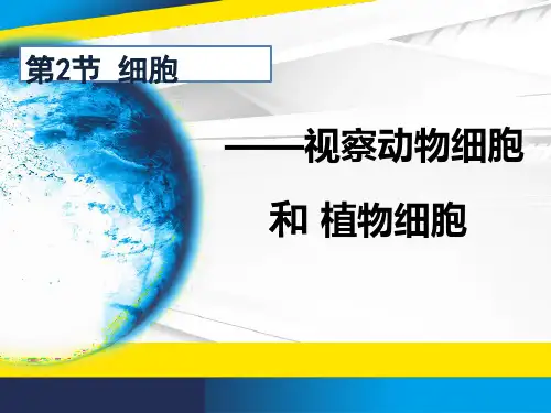 细胞----实验观察动物细胞和植物细胞PPT课件(初中科学)
