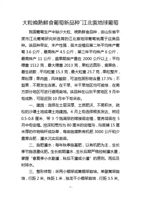 大粒晚熟鲜食葡萄新品种―江北紫地球葡萄