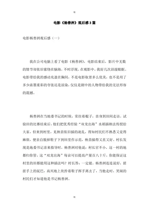 电影《杨善洲》观后感3篇