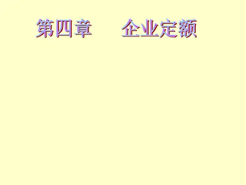 企业定额