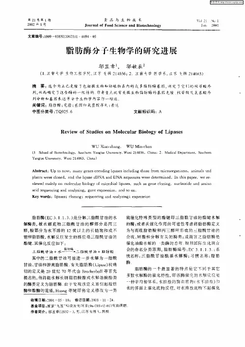 脂肪酶分子生物学的研究进展