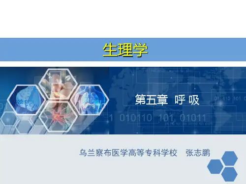 生理学  第五章 呼吸