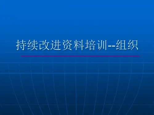 提升领导力经典实用课件组织变革与组织文化(持续改进