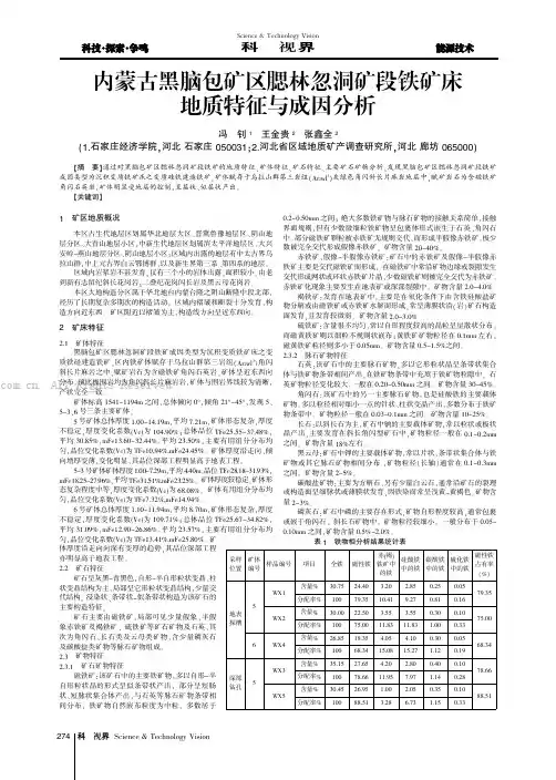 内蒙古黑脑包矿区腮林忽洞矿段铁矿床地质特征与成因分析