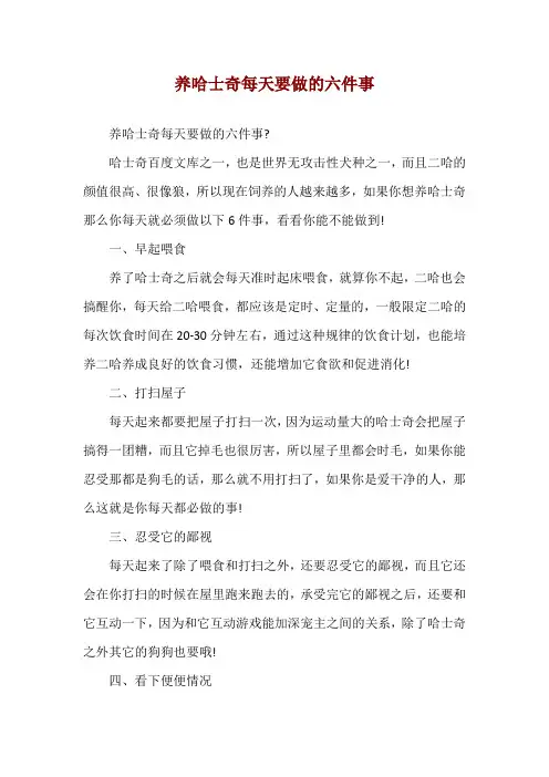 养哈士奇每天要做的六件事