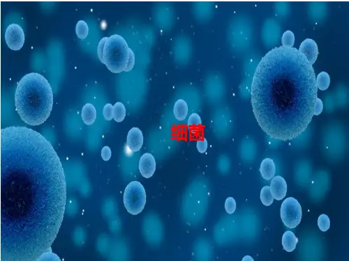 第四章第二节细菌课件(人教版生物)