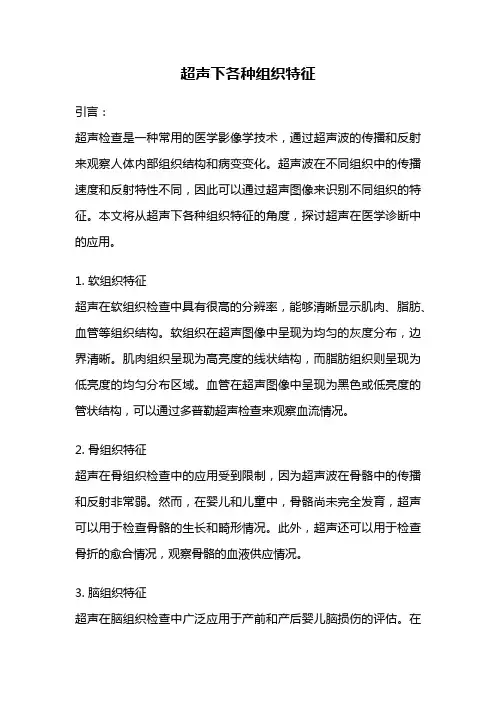 超声下各种组织特征