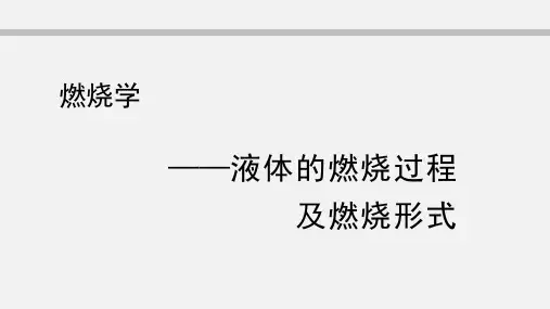 液体的燃烧过程及燃烧形式资料