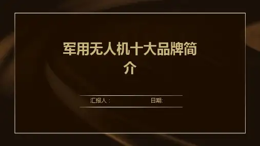 军用无人机十大品牌简介