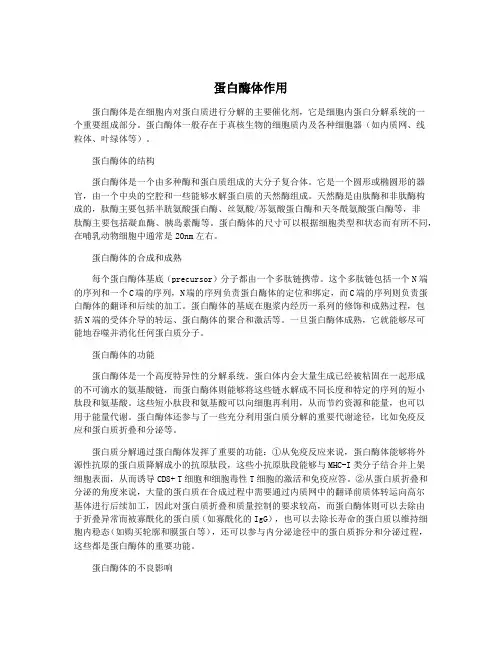 蛋白酶体作用
