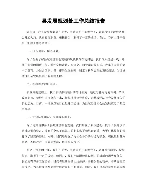 县发展规划处工作总结报告
