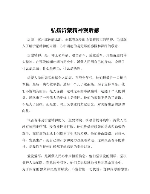 弘扬沂蒙精神观后感