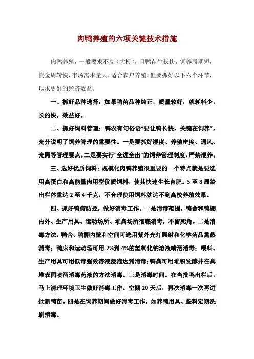 肉鸭养殖的六项关键技术措施