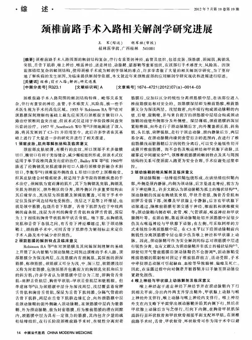 颈椎前路手术入路相关解剖学研究进展