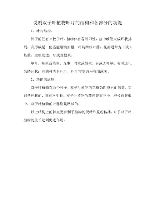 说明双子叶植物叶片的结构和各部分的功能