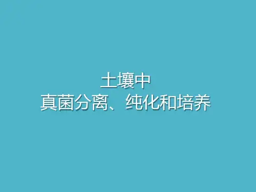 土壤中真菌纯化、分离和培养