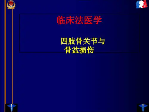 临床法医学四肢脊柱损伤PPT课件