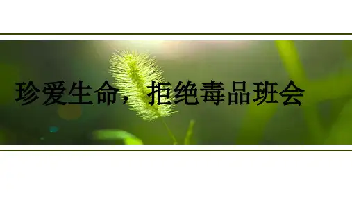 珍爱生命,拒绝毒品主题班会 课件(共30张PPT)