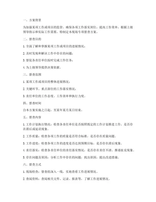 现场专项督查方案范本