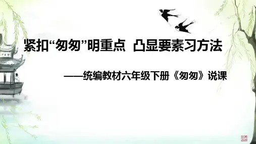 8 匆匆 说课课件(共22张PPT)