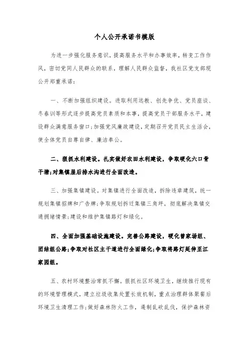 个人公开承诺书模版（6篇）