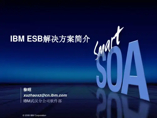 IBM Websphere ESB企业服务总线
