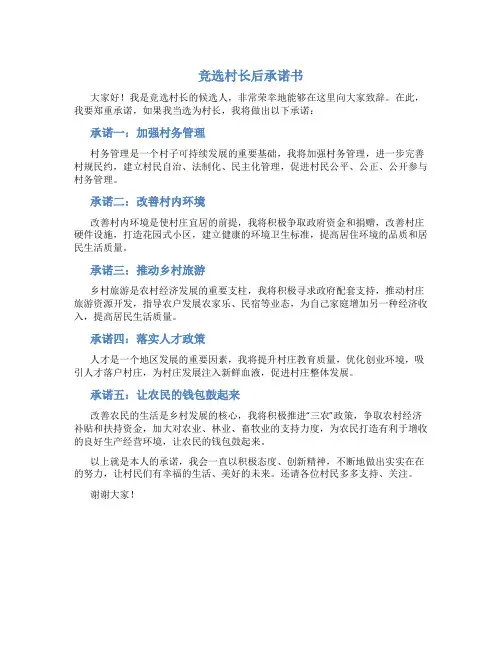 竞选村长后承诺书