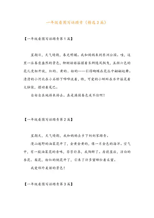 一年级看图写话踏青(精选3篇)