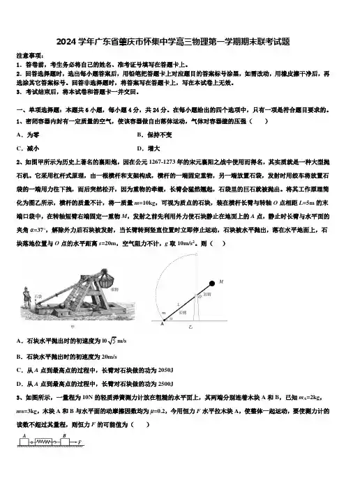 2024学年广东省肇庆市怀集中学高三物理第一学期期末联考试题含解析