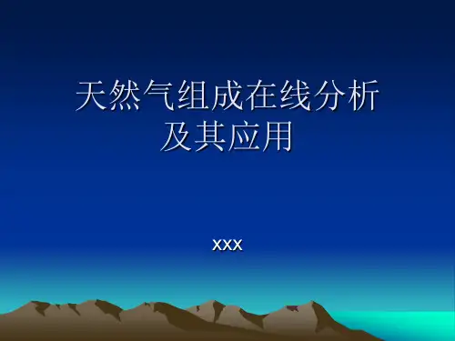 天然气组成在线分析及其应用