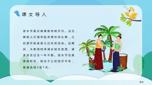 难忘的泼水节优质课文课件市公开课一等奖省优质课获奖课件.pptx