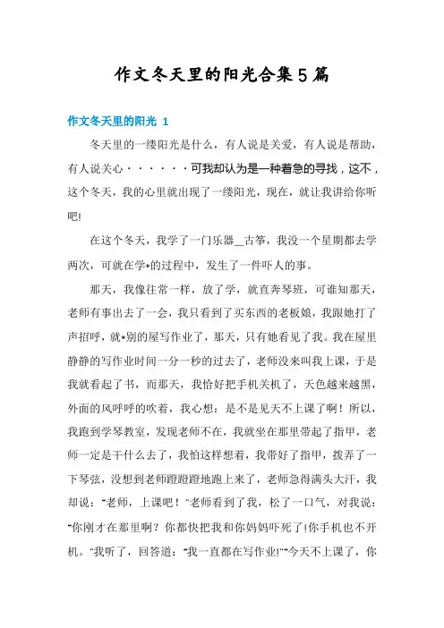 作文冬天里的阳光合集5篇