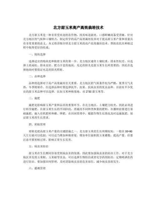 北方甜玉米高产高效栽培技术