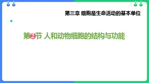 《人和动物细胞的结构与功能》PPT优秀课件