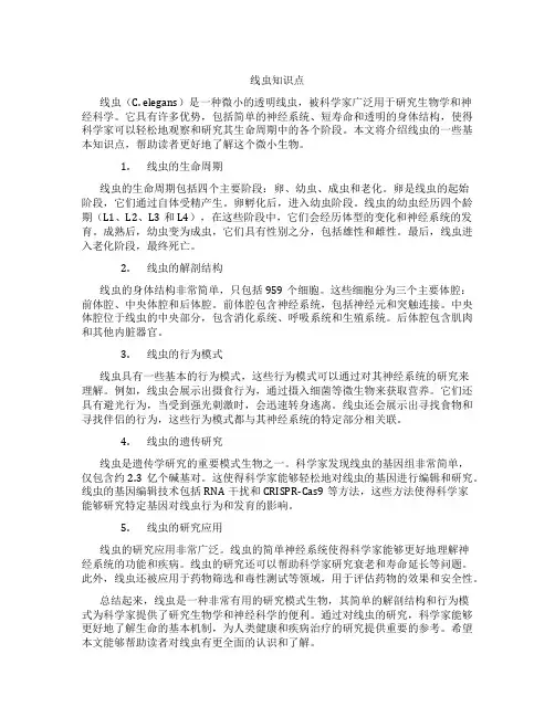 线虫知识点