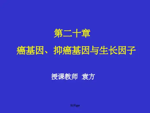 癌基因与抑癌基因