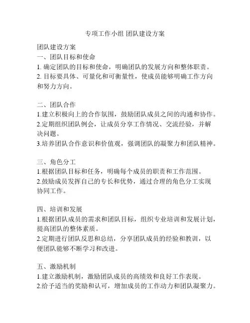专项工作小组 团队建设方案
