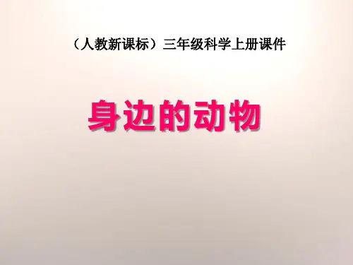 人教版三年级上册科学 《身边的动物》和动物交朋友PPT课件 (2)
