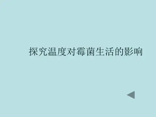 初中七年级生物上册-《探究温度对霉菌生活的影响》课件