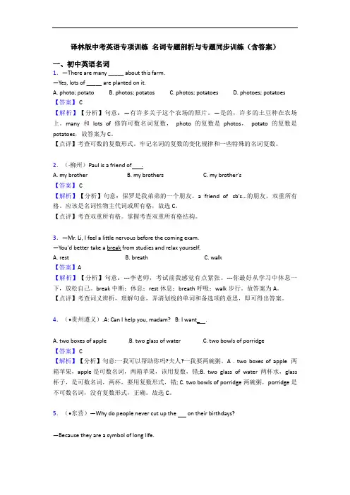 专项训练 名词专题剖析与专题同步训练(含答案)
