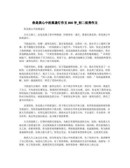 你是我心中的那盏灯作文800字_初二优秀作文