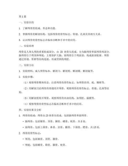 医学解剖颅骨实验报告(3篇)
