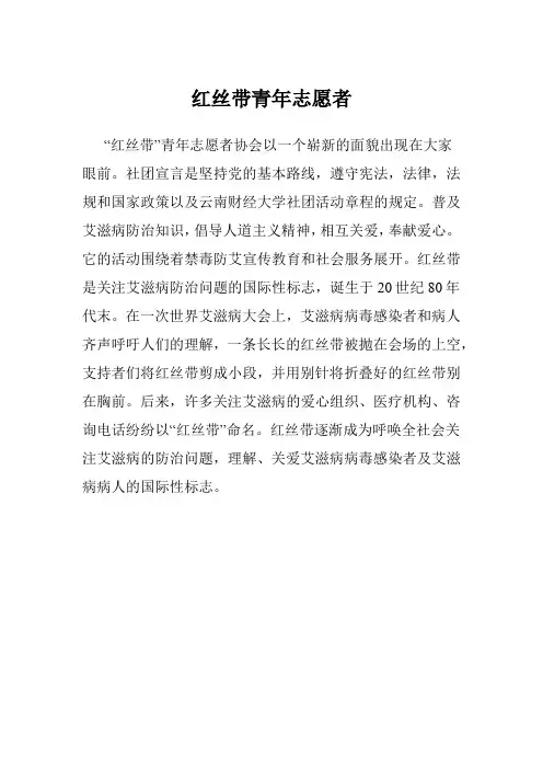 红丝带青年志愿者