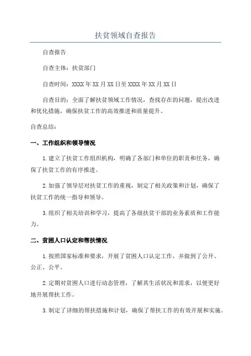 扶贫领域自查报告