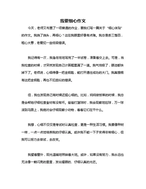 我要细心作文