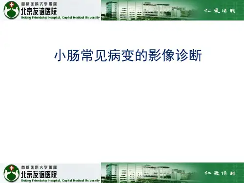 小肠疾病的影像学评价