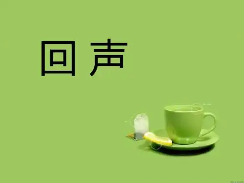 《回声》音乐PPT课件(上课用)2